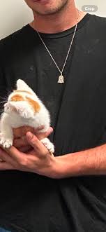 Hi everyone, I was at the mussel inn