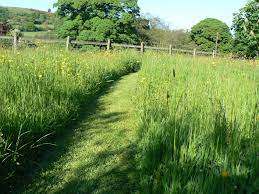 Mown Path Through Meadow Grass Beautiful Wild Flower Meadow Meadow Garden Cottage Garden