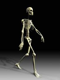 Download Free Skeleton Mobile Wallpaper Contributed By Francesca2010 Skeleton Mobile Wallpaper Is Uploaded In Animatio Funny Skeleton Cute Gif Animated Images