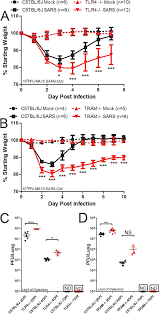 Download Tlr4 And Tram Mice Are More Susceptible To Sars Cov Infection Than Download Scientific Diagram