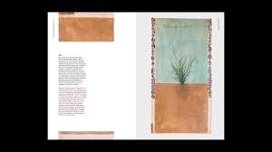 Image result for Microchloa altera