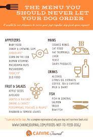 28 Foods Not To Feed Your Dog And A List Of Those You Can Can Dogs Eat Vegan Dog Dog Food Recipes