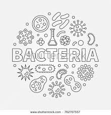 biology art biology bacteria round concept symbol made with different bacterias and viruses icons in thin line styl in 2020 biology art coloring pages science doodles pinterest