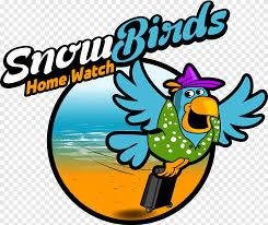 Please enter your email address receive daily logo's in your email! Snowbirds Png Images Pngegg