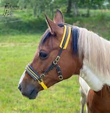 Wildsong saddlery is one of the few western saddleries on jorvik, run by carolina sommerfelt. Sidepull Sidepull Aus Biothane Bitless Bridle Tsp Sidepull Gebisslose Trense Manufaktur Tajara Horsewear
