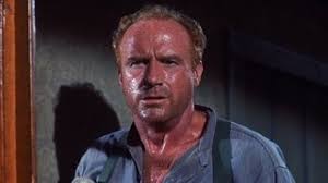 The Virginian (TV Series 1962-1971) — The Movie Database (TMDB)