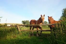 Located 1.7 mi from jastrzebia beach, the property provides a garden and free private parking. Noclegi Czarny Mlyn Nocleg W Czarnym Mlynie