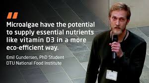 phd #pitch #dtu #vitamind