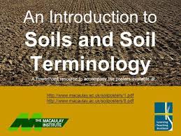 The pai'ent rock is a relatively inert storehouse of future soil material rather than an active factor in soil foi^mation. Factors Influencing Soil Formation Ppt Video Online Download