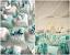 Bridesmaid Tiffany Blue Wedding