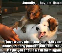 We love animals and we like animal memes. Animal Comedy Clean Animal Comedy Animal Comedy Funny Animals Animal Gifs Cheezburger