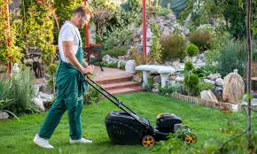 Carbon monoxide detectors use sensors to detect the presence of co in your home. Should You Buy A Cordless Lawn Mower Which News