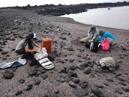 Team of researchers from Galapagos Science Center and Galapagos National  Park seek to protect marine biodiversity and understand climate variability  through marine expedition