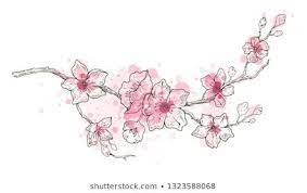 image vectorielle de stock des fleurs sakura printanieres fleurissent 1323588062 fleur tatouage floral elephant coloriage disney ratatouille