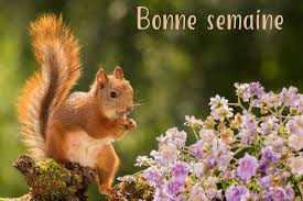 Cartes virtuelles image pour souhaiter une bonne semaine - Joliecarte