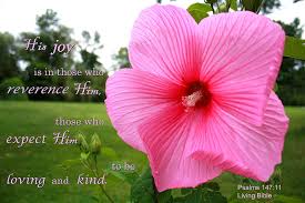 Apr 02, 2020 · associated with aphrodite and spring flowers especially, they were considered the youthful bestowers of beauty in all its forms, from physical to intellectual, artistic to moral. Unfailing Love Flower Bible Inspirational Bloom Hd Wallpaper Peakpx