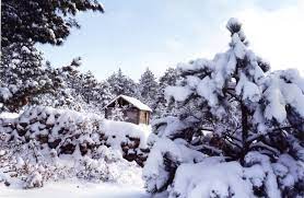 Creel Chihuahua Mexico Mexico Lindo Mexico Chihuahua