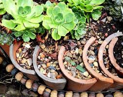 Garten Gestalten Mit Kreativer Rasenkante Und Beetumrandung Rasenkanten Beetumrandung Und Trockengarten