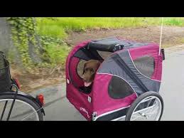 Doggy Ride Original Hundeanhanger Youtube