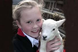 Katie Nobles is at Holme with the lambs down