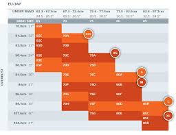 74 Efficient 2xu Compression Pants Size Chart