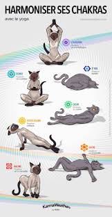 Avantages Du Yoga Chakra Poses Yoga Et Mudras En 2020 Pose Yoga Yoga Exercice De Meditation