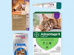 Find great deals on ebay for revolution flea treatment for cats. Best Flea Treatment For Cats In 2021 Business Insider