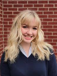 Is the teaching of civics valuable to maintaining American democracy? Why  is the rule of law important to American democracy, an