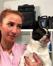 Regardez ce magnifique toilettage d'un Airedale réalisé en épilation! 🐶✂️  #toilettage #airedaleterrier #epilation