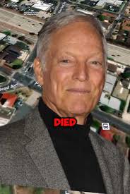 Richard Chamblin Hit by Car