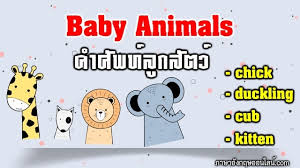 จากภาษาละติน mamma เต้านม) เป็นกลุ่มของสัตว์ มีกระดูกสันหลังที่ประกอบขึ้นเป็นชั้นสัตว์เลี้ยงลูกด้วยนม (mammalia. Https Xn 12cl9ca5a0ai1ad0bea0clb11a0e Com E0 B8 A5 E0 B8 B9 E0 B8 81 E0 B8 Aa E0 B8 B1 E0 B8 95 E0 B8 A7 E0 B9 8c E0 B8 A0 E0 B8 B2 E0 B8 A9 E0 B8 B2 E0 B8 Ad E0 B8 B1 E0 B8 87 E0 B8 81 E0 B8 A4 E0 B8 A9 E0 B9 80 E0 B8 A3 E0 B8 B5 E0 B8 A2