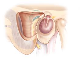 Mastoidectomy