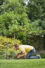 Check the cutting edge on the shears by chopping through a few pieces of paper. Sharpening Lawn Edging Shears