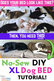 A no pin code is a code you can add to your blog post so that the pin doesn't actually show on the published here's how to go about adding the html code for the no pin code: Diy Dog Bed Ideas See How I Made Xl Orthopedic Dog Beds For Our 2 Large Dogs Created A Simple Dog Mudroom Space Xl Dog Beds Cheap Dog Beds Orthopedic