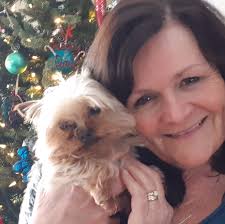 Are bed bugs a problem in Bora Bora?