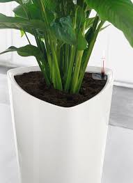 Delta 30 Scarlet Red High Gloss All In One Set Less frequent watering and better plant growth! http www digimarc com cgi bin ci pl 4 108116 0 2012 5