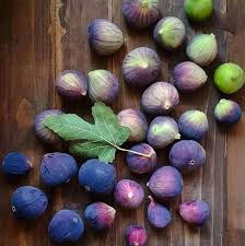 Treat yourself to huge savings with the alchemist's kitchen coupons: When It Comes To Botanical Wellness The Alchemist S Kitchen Is The Best In Nyc Garden Collage Magazine