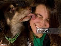 271 Pet Butler Stock Photos, High-Res Pictures, and Images