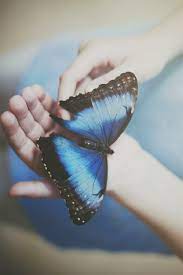 Luna Mi Angel Fotografia Mariposa Azul Fotos