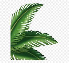 Palm Leaves Transparent Background Hd Png Download Vhv Explore and download more than million+ free png transparent images. palm leaves transparent background hd