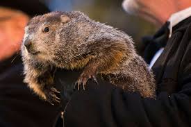 Groundhog day is a holiday celebrated in the united states and canada on february 2, each year. Groundhog Day 2019 Guide Punxsutawney Phil Facts Tips For Going To Gobbler S Knob And More Pennlive Com