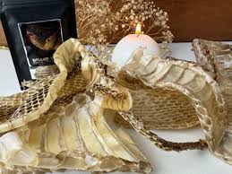 Snake Skin Pele de Troca Natural • Além de Salém