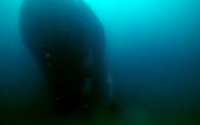 Godine, vesele i odlične najave za kolovoz i. Wreck Peltastis Krk Croatia Jotbe