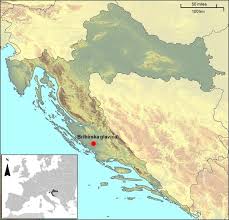 Vintage oneida silver plated ice bucket in the du maurier pattern, with removeable glass bowl liner (nice and heavy). Ritual Household Deposits And The Religious Imaginaries Of Early Medieval Dalmatia Croatia Sciencedirect