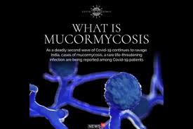 La mucormicosis es una infección rara y grave con hongos del orden. Ixzq1zkb0f4qdm