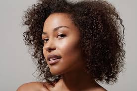 Following extensive market research and analysis of different hooded hair dryers, i would classify br beauty meredith 880w salon hair dryer with casters as the best hooded hair dryer for african american hair. Best Hooded Hair Dryer Reviews