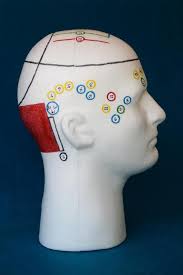 Phoenix Holistics Stella Baron (pstellabaron)