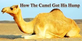 The camel's hump is an ugly lump which well you may see at the zoo; How The Camel Got His Hump Assignment Point