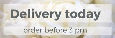 Included with every order from us is a free personalized card message for delivery. Same Day Flower Delivery Berlin Germany 2021