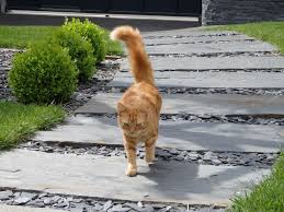 Message De Service Dalle Jardin Design De Petit Jardin Allees Jardin